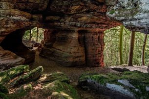Radwandern und Mountainbiken in Schwanheim