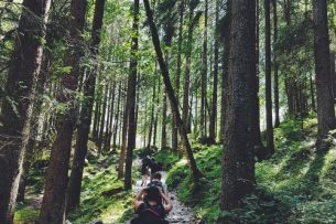 Die richtige Fahrzeugausstattung für Tour-Guides